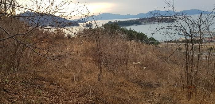 경남 사천시 실안동 720 전 사진 5