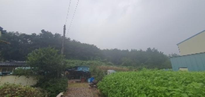 경상남도 함안군 법수면 백산리 415 전 경매 사진 2