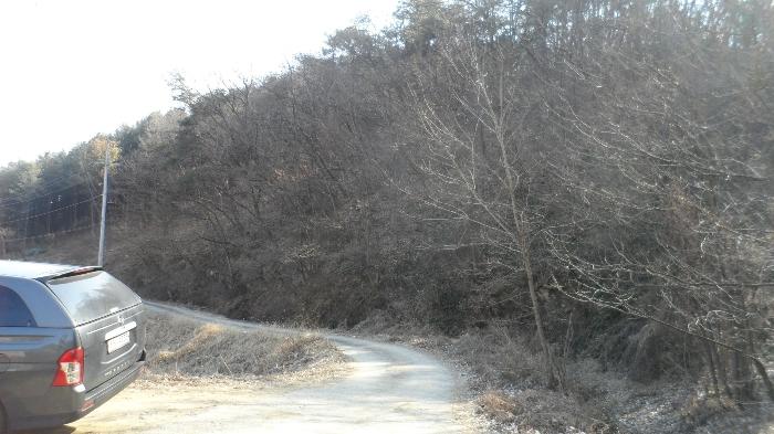 경상북도 구미시 장천면 묵어리 산1 임야 경매 사진 10