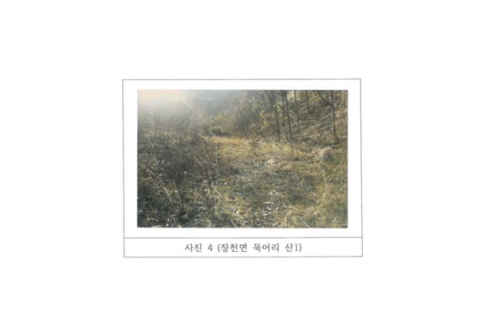 경상북도 구미시 장천면 묵어리 산1 임야 경매 사진 14