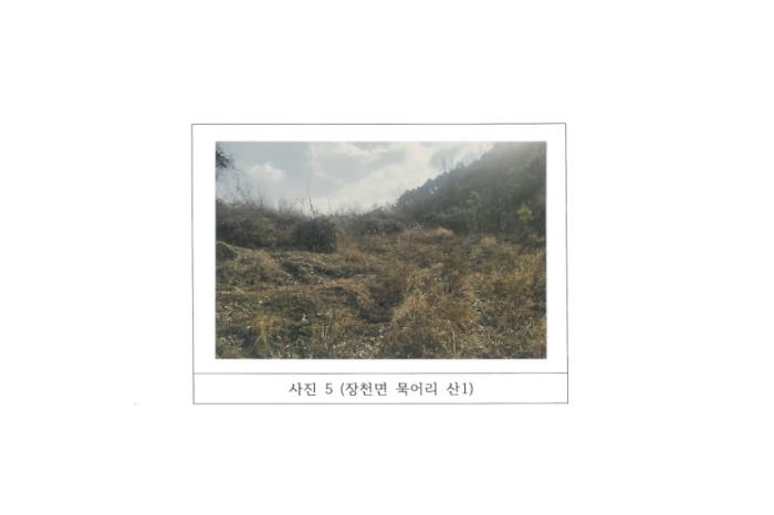 경상북도 구미시 장천면 묵어리 산1 임야 경매 사진 15