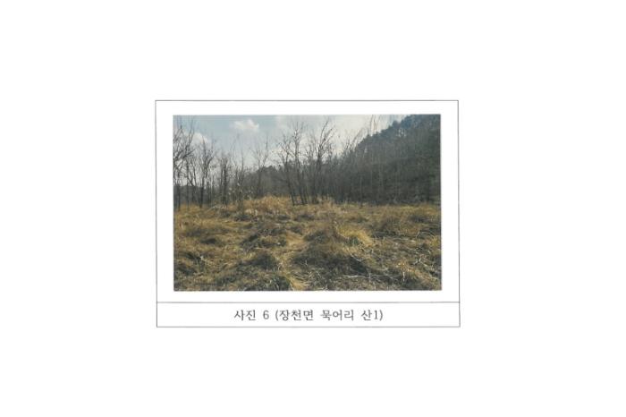 경상북도 구미시 장천면 묵어리 산1 임야 경매 사진 16