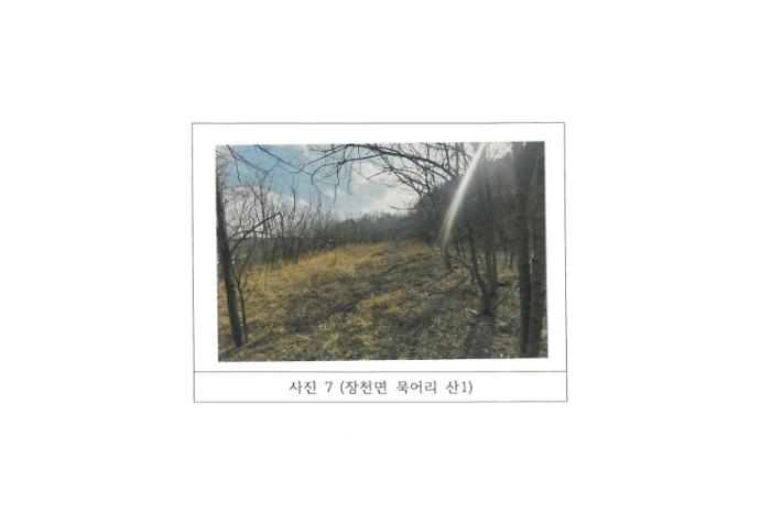 경상북도 구미시 장천면 묵어리 산1 임야 경매 사진 17