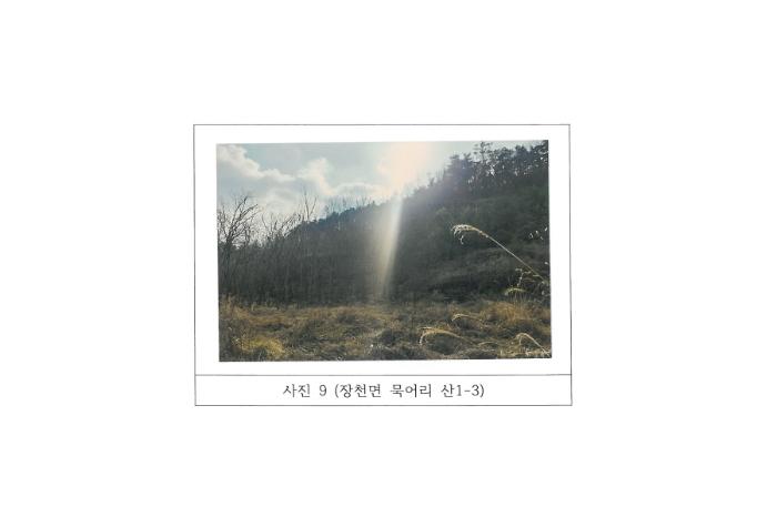 경상북도 구미시 장천면 묵어리 산1 임야 경매 사진 19
