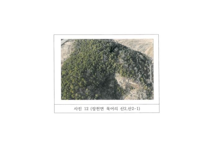 경상북도 구미시 장천면 묵어리 산1 임야 경매 사진 22