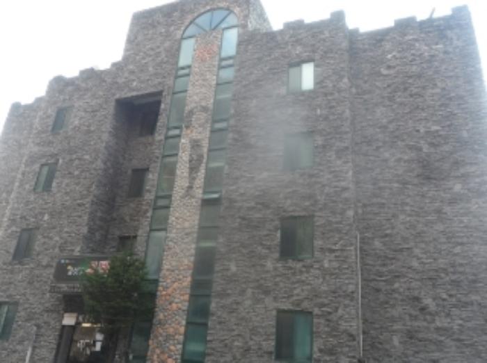 강원특별자치도 영월군 김삿갓면 진별리 506-24 숙박시설 경매 사진 17