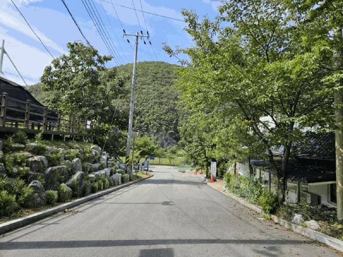 강원특별자치도 영월군 김삿갓면 진별리 506-24 숙박시설 경매 사진 4