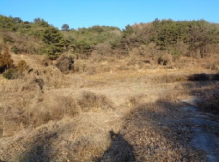 경상남도 남해군 서면 정포리 873 답 경매 사진 5