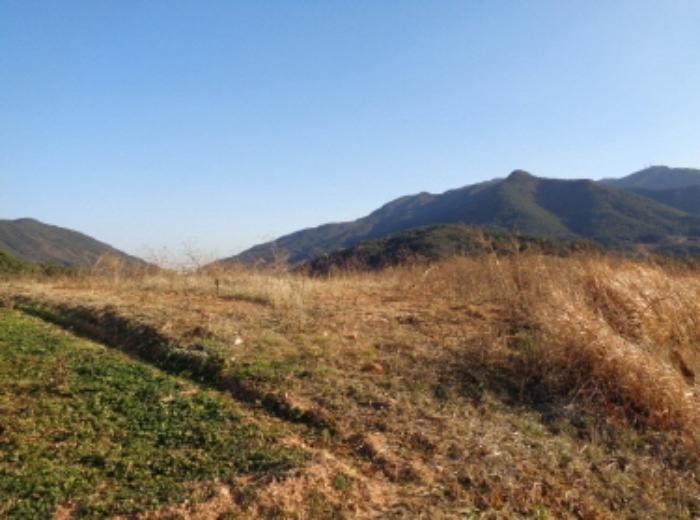 경상남도 남해군 서면 정포리 873 답 경매 사진 7