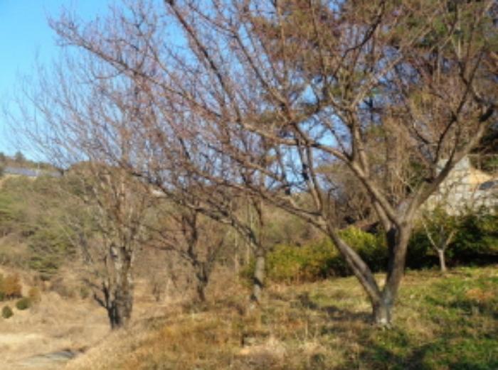 경상남도 남해군 서면 정포리 873 답 경매 사진 8