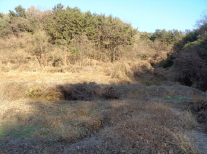 경상남도 남해군 서면 정포리 925 전 경매 사진 6