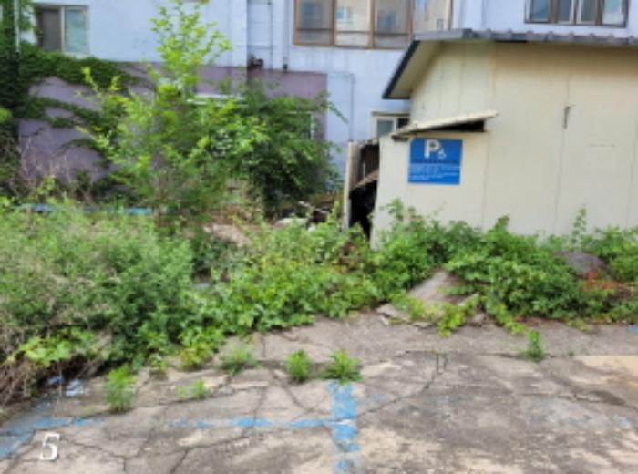 경기도 양평군 양서면 양수리 559-21 근린시설 경매 사진 20