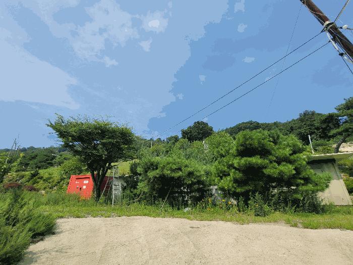 경기도 양평군 강하면 동오리 771-4 목장용지 경매 사진 3