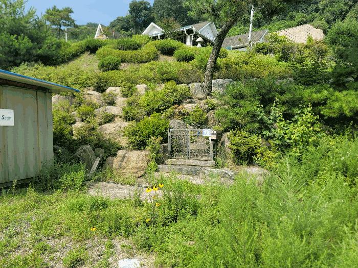 경기도 양평군 강하면 동오리 771-6 목장용지 경매 사진 15