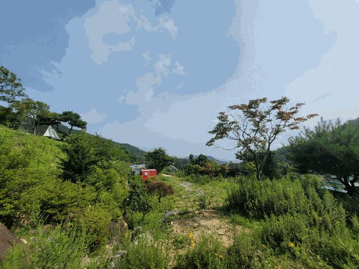 경기도 양평군 강하면 동오리 771-6 목장용지 경매 사진 9