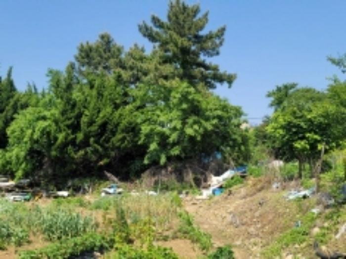 경상남도 통영시 미수동 410-1 공장 경매 사진 36