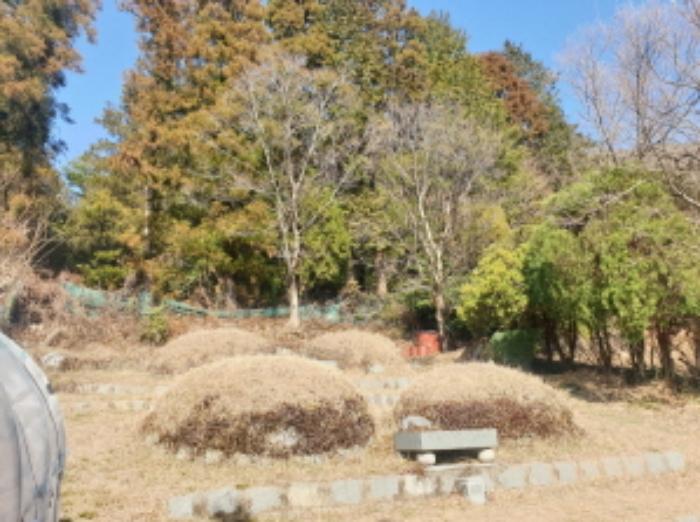 전라남도 여수시 미평동 826-6 전 경매 사진 11