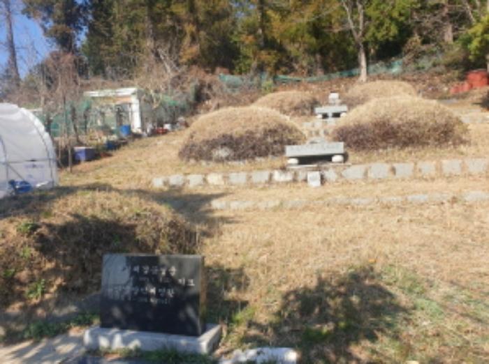 전라남도 여수시 미평동 826-6 전 경매 사진 7