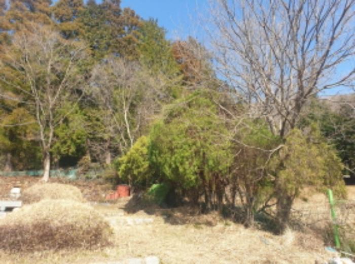전라남도 여수시 미평동 826-6 전 경매 사진 8