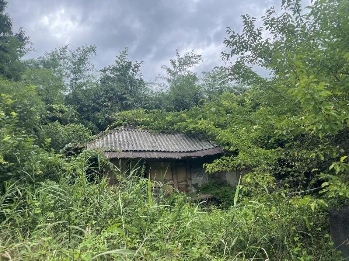 전북특별자치도 장수군 산서면 신창리 198 전 경매 사진 9
