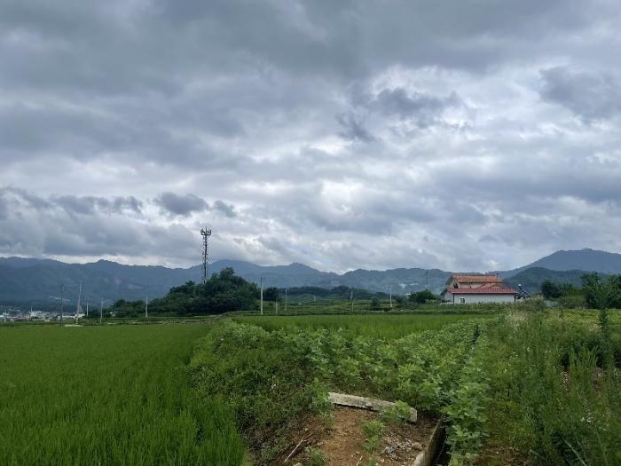 전북특별자치도 장수군 산서면 신창리 1456 답 경매 사진 4