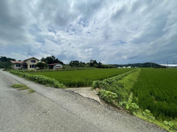 전북특별자치도 장수군 산서면 신창리 1456 답 경매 사진 5