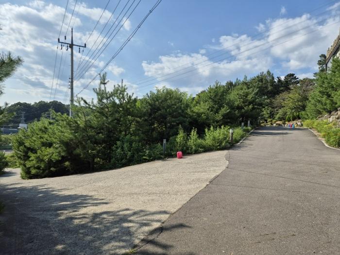 경북 성주군 임야