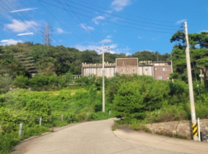 경상북도 성주군 성주읍 삼산리 산29-2 임야 경매 사진 6