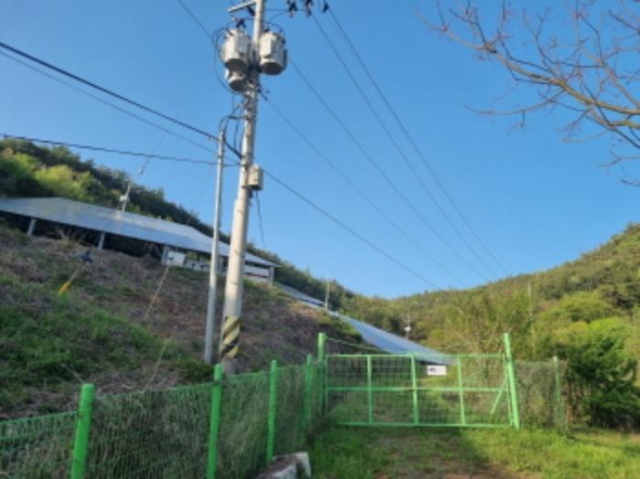 전라남도 여수시 화양면 옥적리 433 전 경매 사진 13