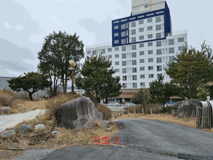 강원특별자치도 강릉시 연곡면 동덕리 산17 임야 경매 사진 18