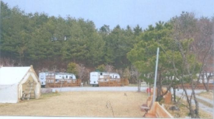 강원특별자치도 강릉시 연곡면 동덕리 산17 임야 경매 사진 32