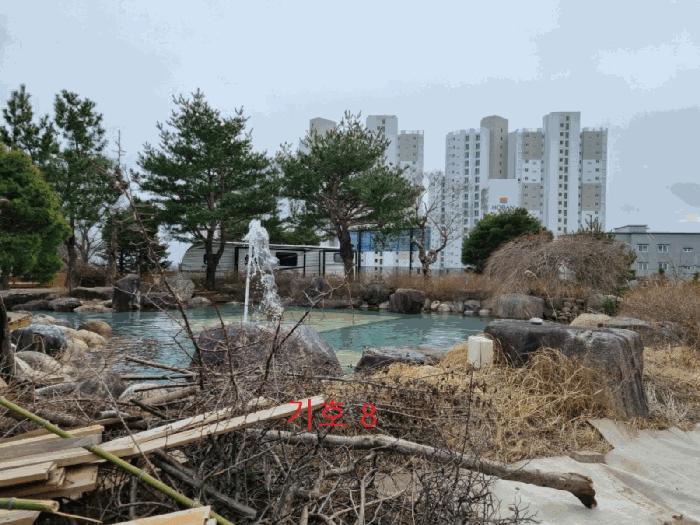 강원특별자치도 강릉시 연곡면 동덕리 산17 임야 경매 사진 4