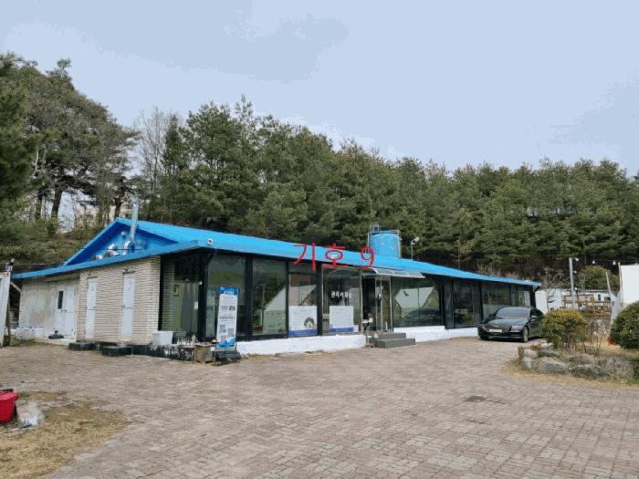 강원특별자치도 강릉시 연곡면 동덕리 산17 임야 경매 사진 5