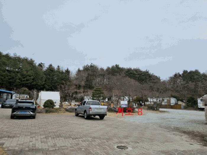 강원특별자치도 강릉시 사천면 사천진리 41-3 펜션(캠핑장) 경매 사진 14
