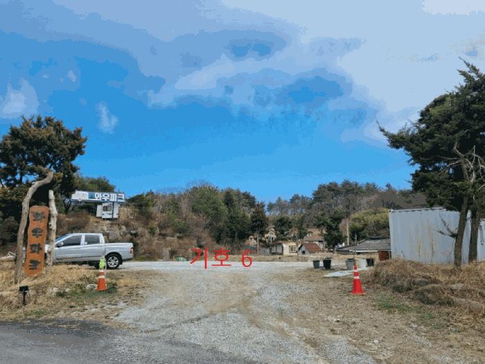 강원특별자치도 강릉시 사천면 사천진리 41-3 펜션(캠핑장) 경매 사진 3