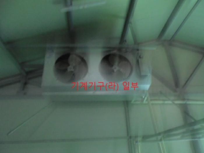충청북도 충주시 앙성면 마련리 204-5 답 경매 사진 17