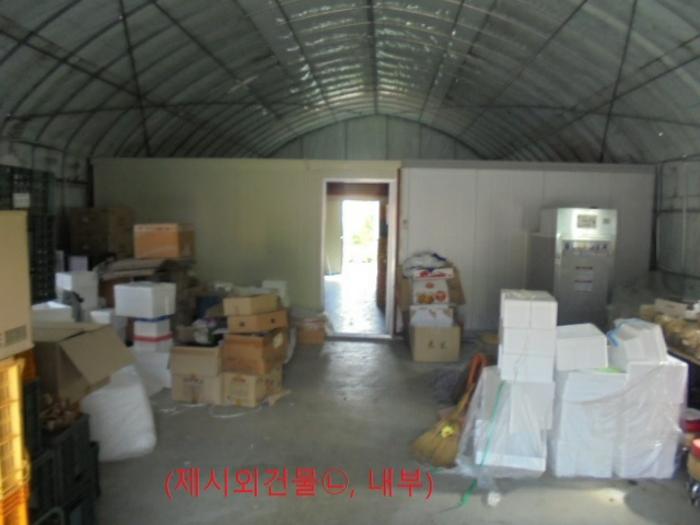 충청북도 충주시 앙성면 마련리 204-5 답 경매 사진 22