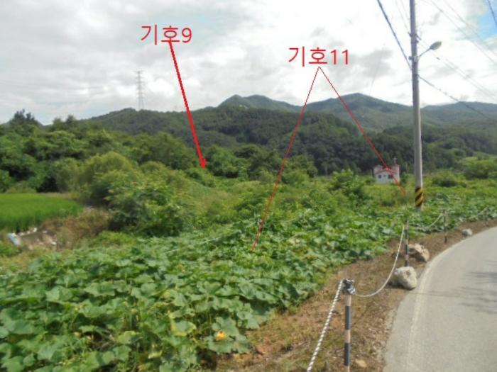 충청북도 충주시 앙성면 마련리 204-5 답 경매 사진 24