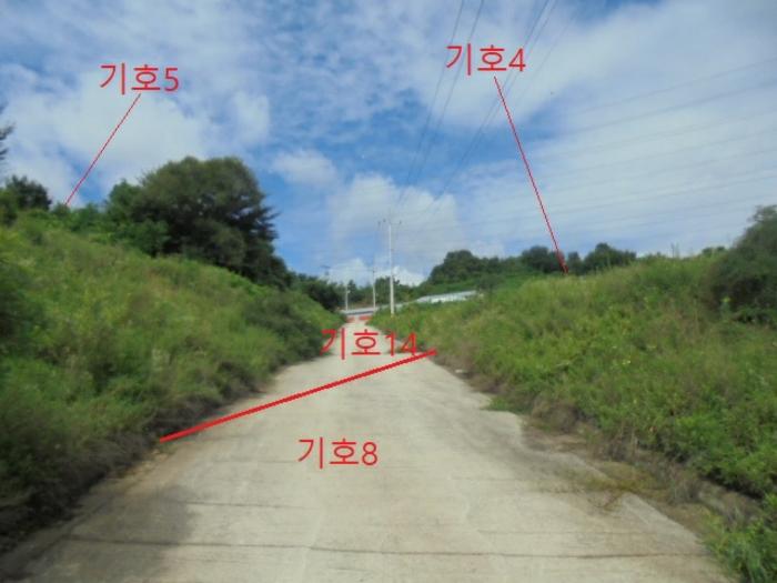 충청북도 충주시 앙성면 마련리 204-5 답 경매 사진 36