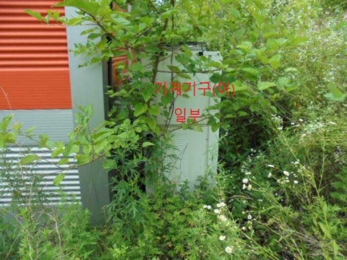 충청북도 충주시 앙성면 마련리 204-5 답 경매 사진 52