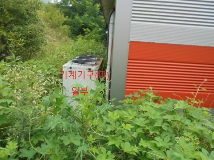 충청북도 충주시 앙성면 마련리 204-5 답 경매 사진 58