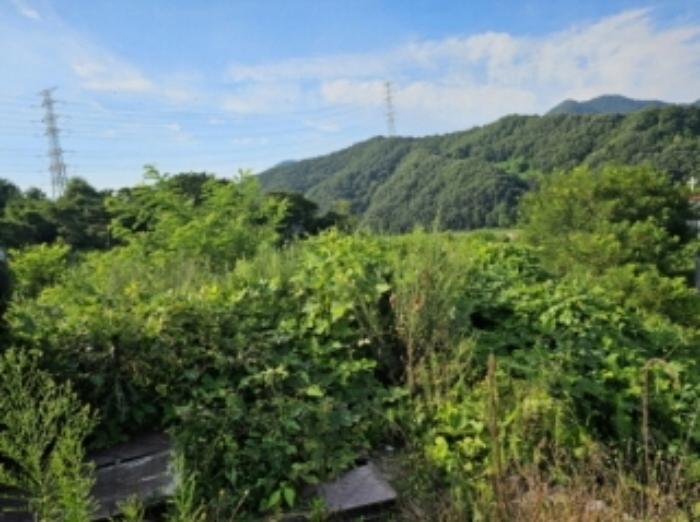 충청북도 충주시 앙성면 마련리 204-5 답 경매 사진 79