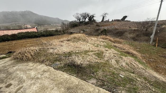전라남도 신안군 안좌면 대우리 516 전 경매 사진 16