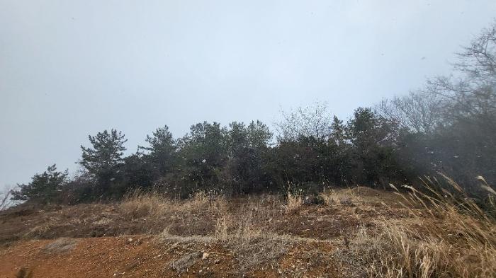 전라남도 신안군 안좌면 대우리 516 전 경매 사진 3