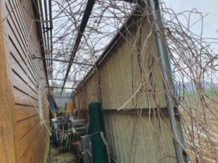 전라남도 강진군 군동면 군장로 197구) 전라남도 강진군 군동면 덕천리 1188-3 창고 경매 사진 10