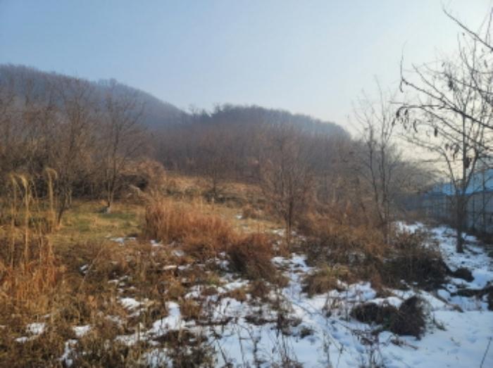 충청남도 천안시 동남구 구룡동 179-2 전 경매 사진 10