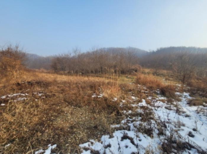 충청남도 천안시 동남구 구룡동 179-2 전 경매 사진 11