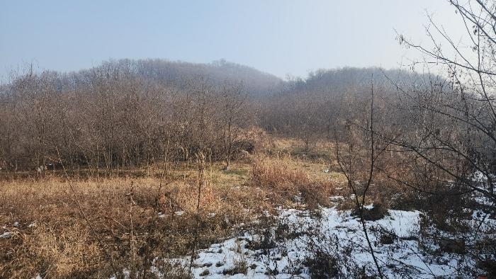 충청남도 천안시 동남구 구룡동 179-2 전 경매 사진 7