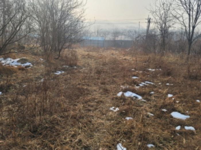 충청남도 천안시 동남구 구룡동 179-2 전 경매 사진 8