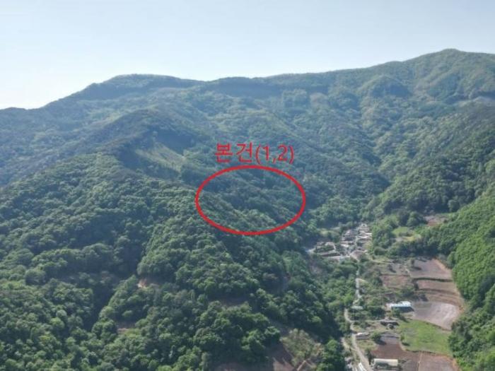 충청북도 단양군 영춘면 오사리 318-4 전 경매 사진 1